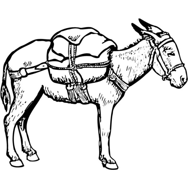 BURRO012 Thumbnail