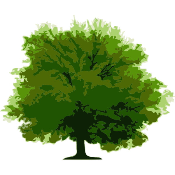 Tree 8 Thumbnail
