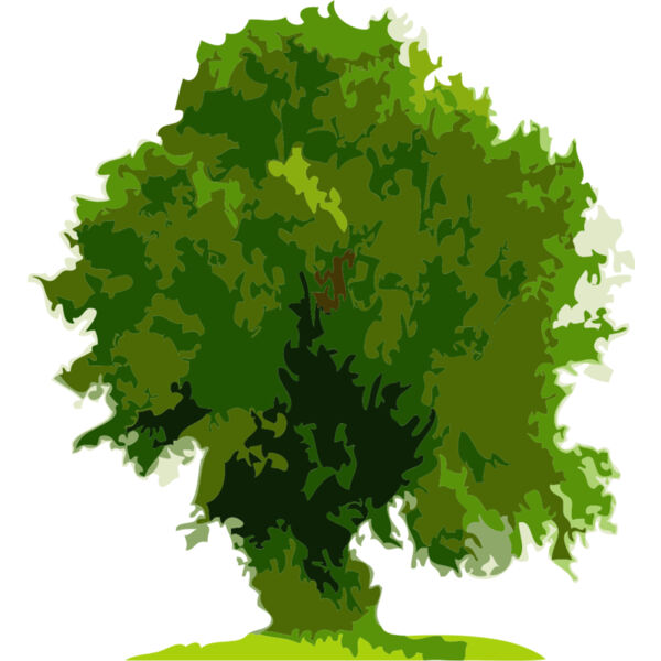 Tree 22 Thumbnail