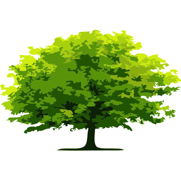 Tree 19 Thumbnail
