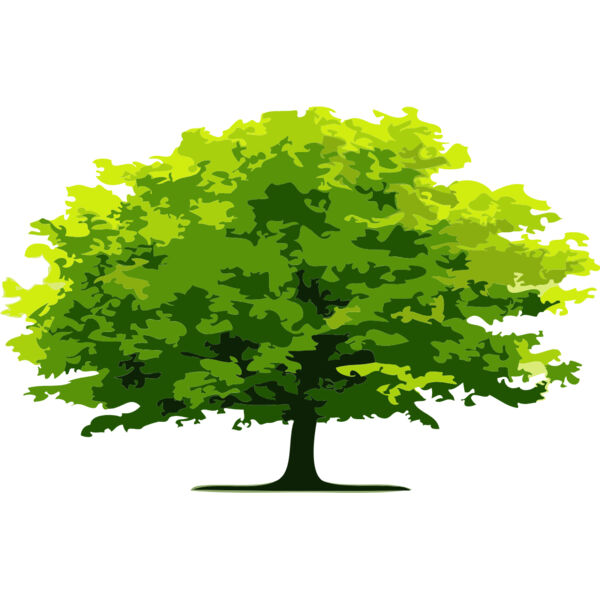 Tree 4 Thumbnail