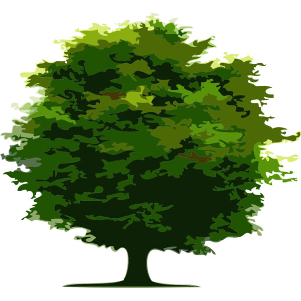 Tree 24 Thumbnail