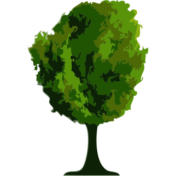 Tree 11 Thumbnail