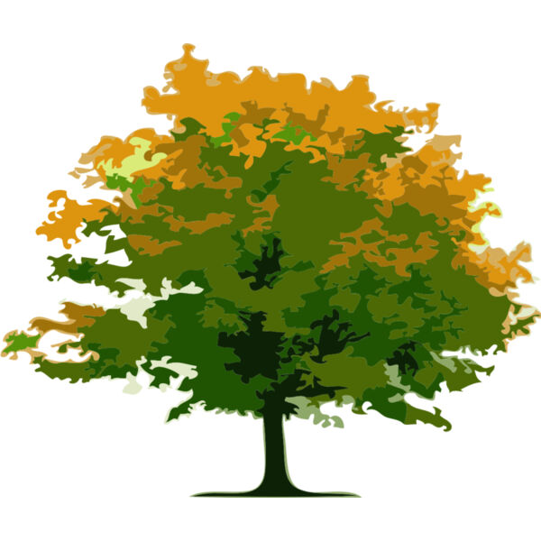 Tree 5 Thumbnail