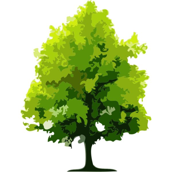 Tree 26 Thumbnail