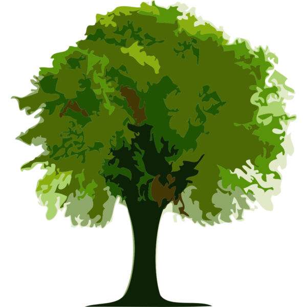 Tree 1 Thumbnail