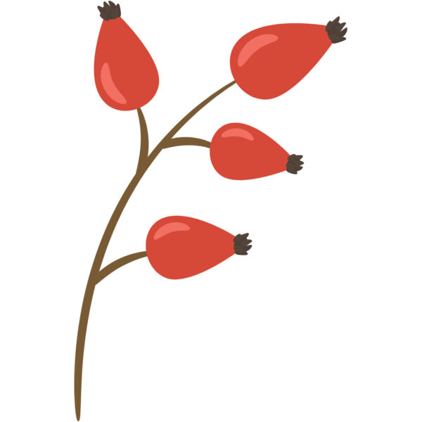 Fruit2 Thumbnail