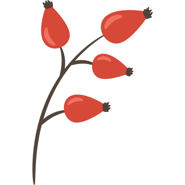 Fruit4 Thumbnail
